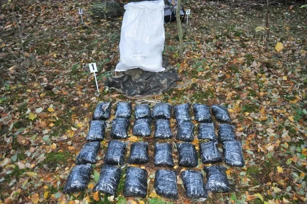 У Польщі знайшли 90 кілограмів бурштину, переправленого з Волині (фото)