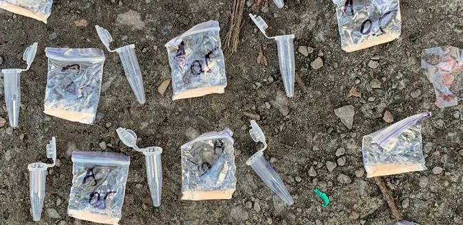 Мав «товару» на 100 тисяч: у Луцьку затримали 18-річного «закладника» (фото)
