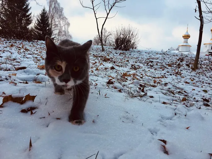 Луцьк накрило снігом (фоторепортаж)
