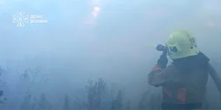 Три пожежі в одному районі: на Волині горіло 2 га чагарників (фото)