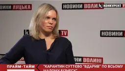 Як карантин вплинув на підприємницьку діяльність (відео)