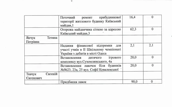 На гірлянди, вікна, кущорізи та газонокосарки: куди йдуть «депутатські фонди»
