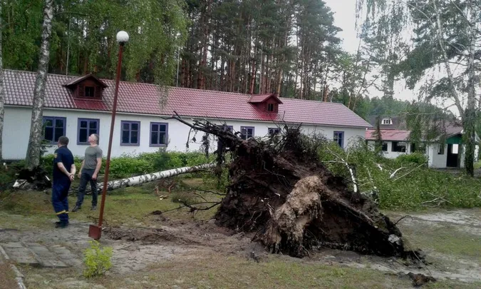 Власникам закладів на Світязі, де вирував буревій, порадили знести аварійні дерева (фото)