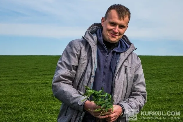 На волинському агропідприємстві показали, як погода вплинула на вирощування жита 