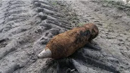 Знайшли у полях: на Волині знешкодили снаряди, авіабомбу й гранату (фото)