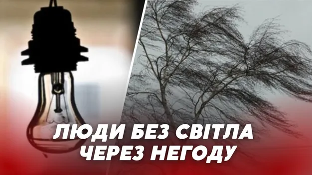 На Волині через сильний вітер діють аварійні вимкнення світла (відео)