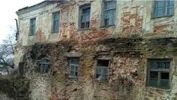 Краєзнавці самотужки намагаються сповільнити руйнування замку в Олиці (фото)