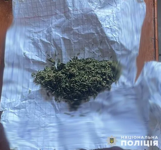 На Львівщині 75-річна бабуся та її онук торгували наркотиками (фото)