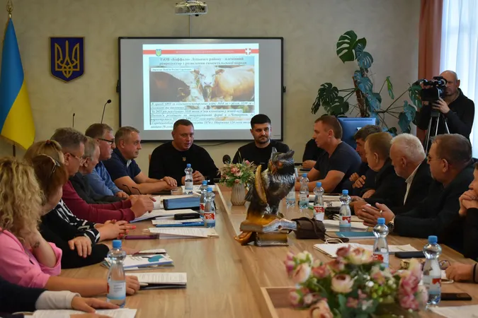 Волинь є лідером в державі за кількістю поголів’я великої рогатої худоби