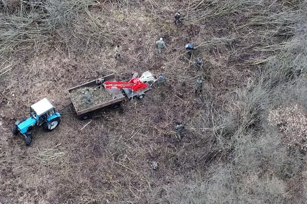 Птах, що зникає: чому Волинь стала останнім прихистком очеретянки