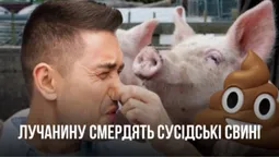 Лучанину смердять сусідські свині (відео)