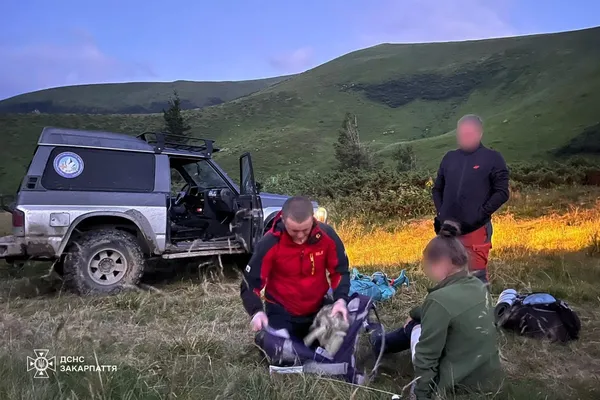 Туристку з Волині в горах покусав собака вівчарів (фото)