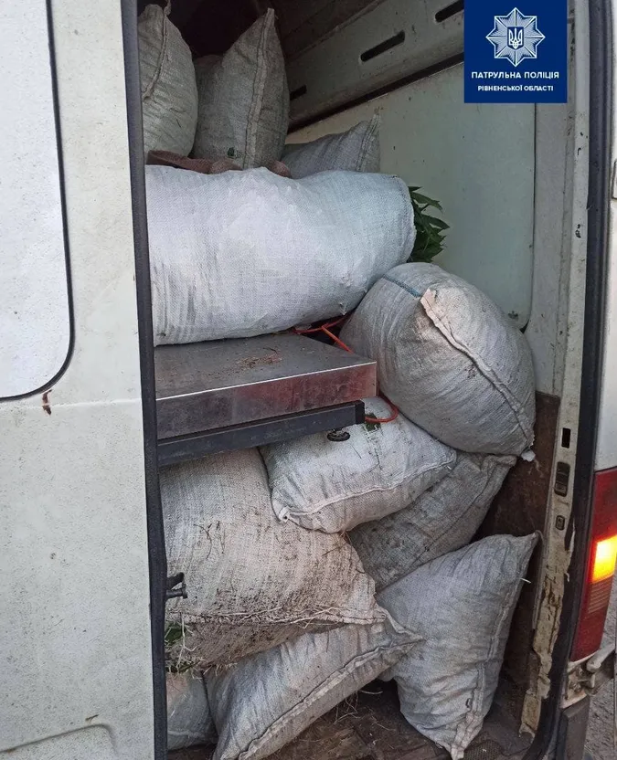 На Рівненщині затримали чоловіка, який віз кілька мішків конвалії (фото)