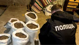 Бізнес на «сонячному» камінні: на Рівненщині викрили чергових бурштинових ділків