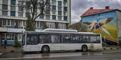 Заробляють більше за перевізників: скільки City Card отримує від луцького транспорту
