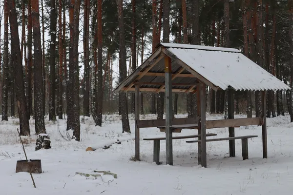 Зимовий ретрит на Волині: нацпарк «Прип'ять-Стохід» запрошує на відпочинок до озера
