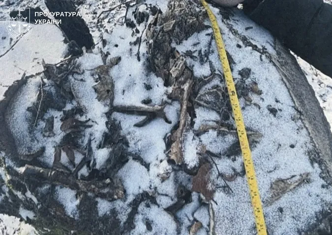 Через недбалість екслісівника у нацпарку на Волині зрубали дерев на 5 мільйонів