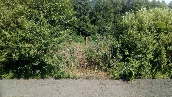 Громада на Ратнівщині укріплює кордон із Білоруссю (фото)