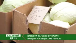 Скільки коштує капуста та «осінні» салати на ринку у Луцьку (відео)