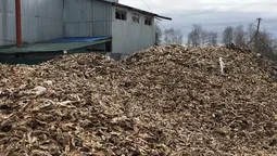 Ковельський ветсанзавод: екологічна катастрофа