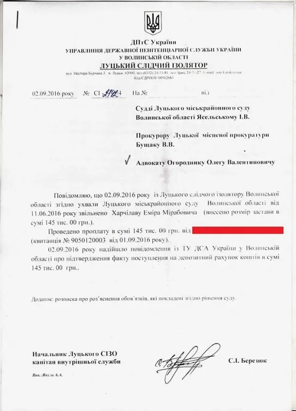 Нападника на Лапіна випустили під заставу 