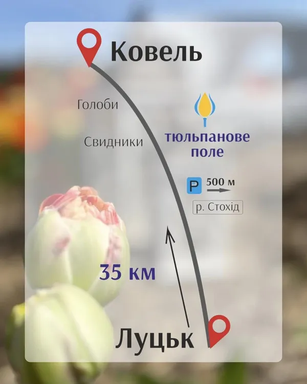 Волинська Голландія: як працюватиме та скільки коштує