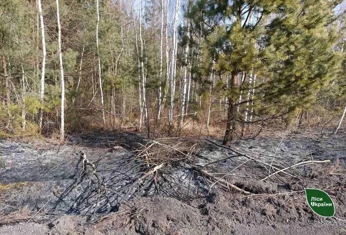На Ківерцівщині вночі зловили паліїв лісу (фото)