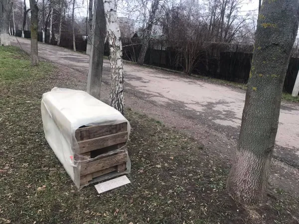 Один – в ящику, інший – на дереві: Луцькому зоопарку підкинули котів (фото)
