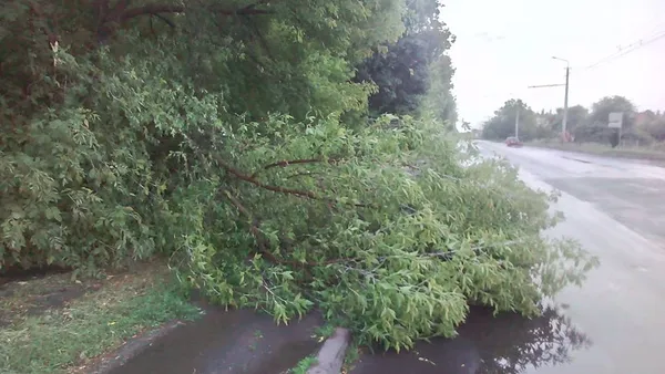 Що наробила негода в Луцьку (фото, відео)