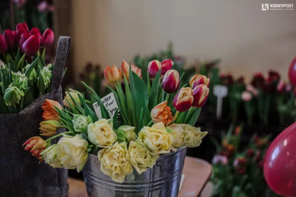 Armani, Dior та ванна у квітах: біля Луцька – pre-party «Волинської Голландії» (фото)