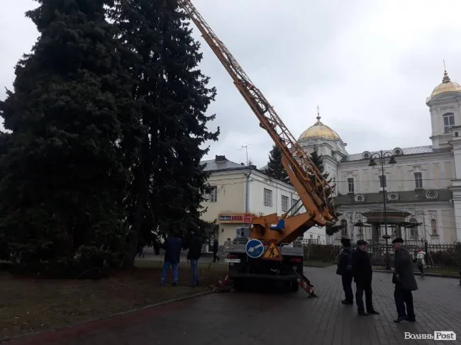 В центрі Луцька розпочали прикрашати головну ялинку