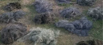 Понад 2 кілометри сіток: у заказнику на Ковельщині виявили браконьєрські знаряддя лову