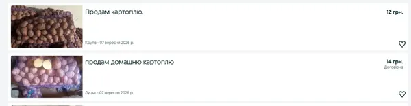 Ціни на картоплю в Луцьку: скільки коштує кілограм з нового врожаю (фото)