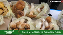 🍄Збирають в секретних місцях: які гриби продають на луцькому ринку (відео)
