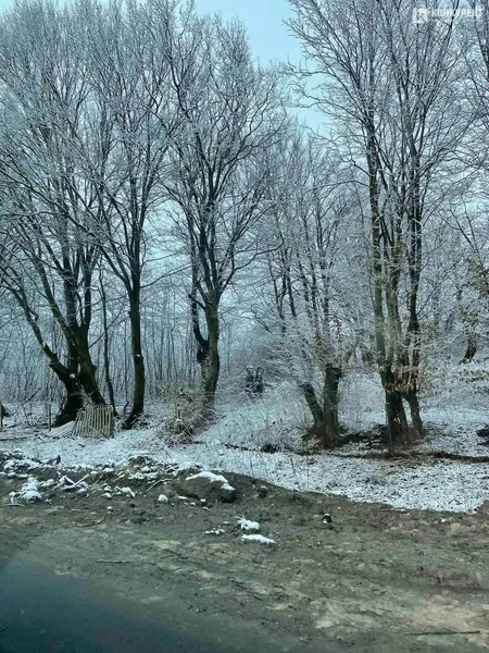 Казкова зима на Волині у квітні: фото, які перехоплюють дух