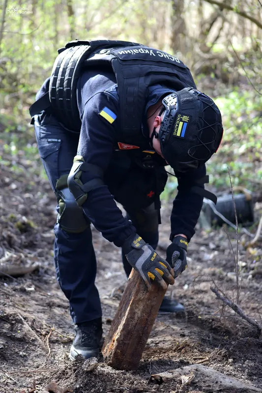У лісі на Волині знайшли схрон боєприпасів німецької армії часів Другої світової війни (фото)