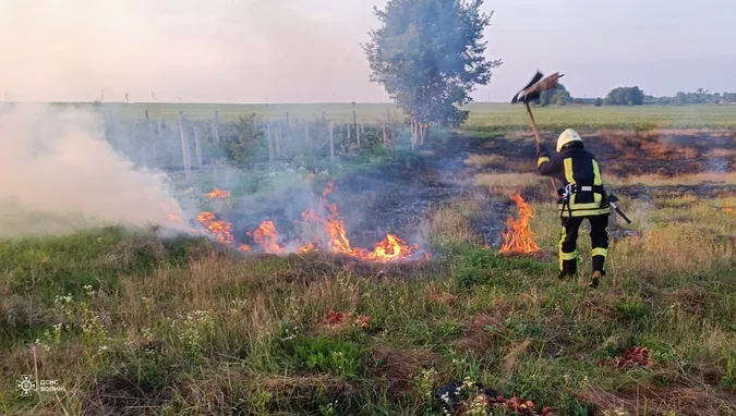 Через необережність з вогнем на Волині сталися п'ять пожеж у полях (фото)