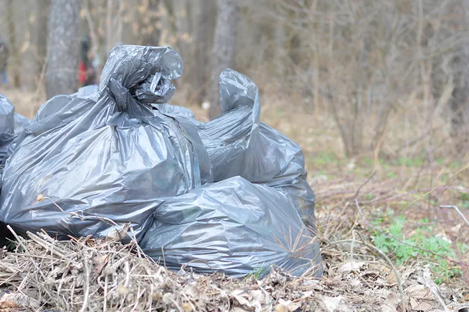 «Лісова» братія проти сміттєвого монстра, або А один в полі – воїн?
