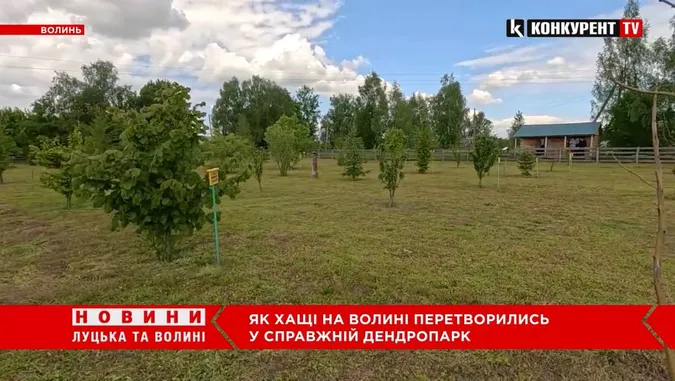 Перший на Волині дендропарк створив вчитель сільської школи (відео)