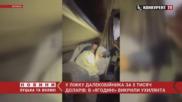 Попалися в «Ягодині»: далекобійник за $5000 вклав у своє ліжко ухилянта (фото, відео)