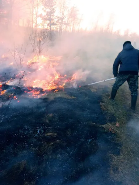 Вогняні стовпи на 12 метрів: на Волині палає Прип'ять (фото)