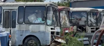 «Стоять ще з 2015 року»: у Володимирі помітили «кладовище» старих міських автобусів (фото)