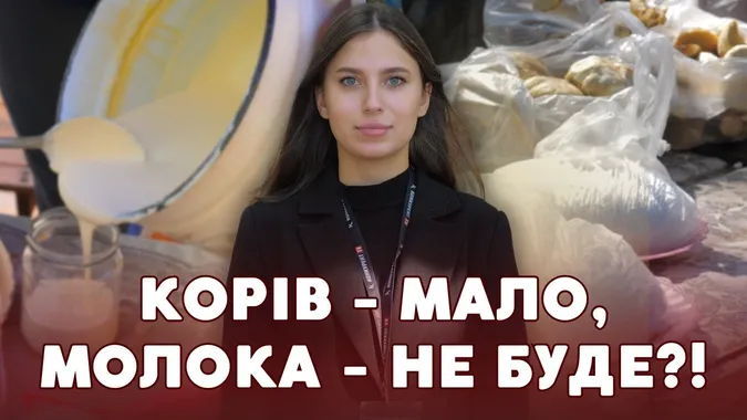 Корів стає дедалі менше: що коїться з домашньою молочкою на луцькому ринку (відео)