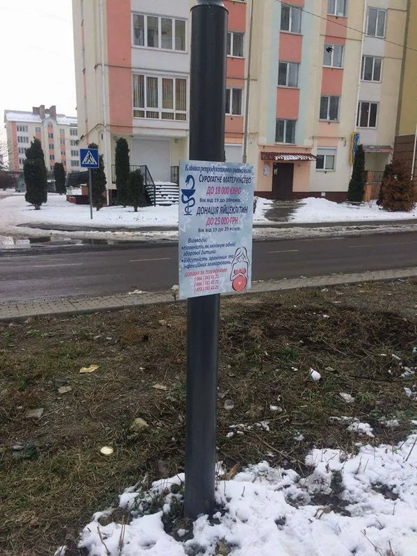 У Луцьку на стовпах рекламують сурогатне материнство (фото)