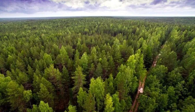 Волинській ОВА повернули 10 гектарів земель лісового фонду