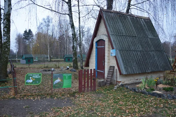 Як «Луцький зоопарк» готується до зими (фото)