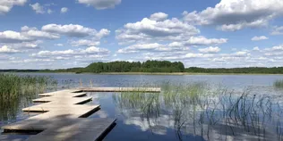 Серед Полісся причаїлось тихе мілководдя, де щороку народжуються нові життя (фото, відео)