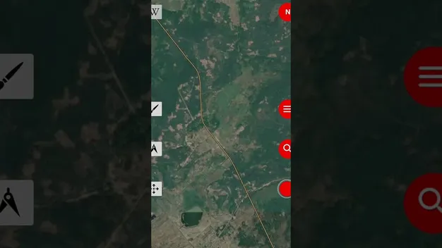 Посеред поля – хрест, а в лісі – кладовище: страшна історія зниклого села на Волині, яке стерли з карти (відео)