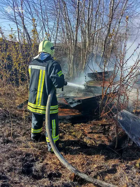 «Тільки сонце блиснуло!»: на Волині палії знов взялися за своє (фото)