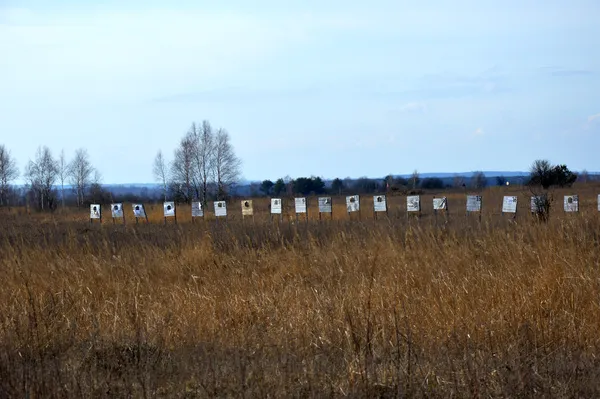 На Волині – активні навчання загонів тероборони (фото)
